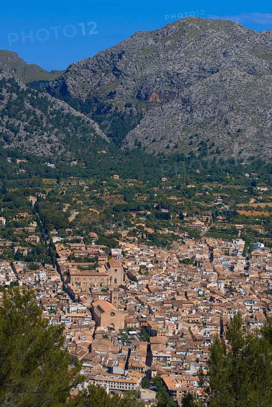 Pollenca