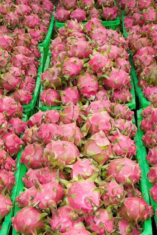 Dragon fruit