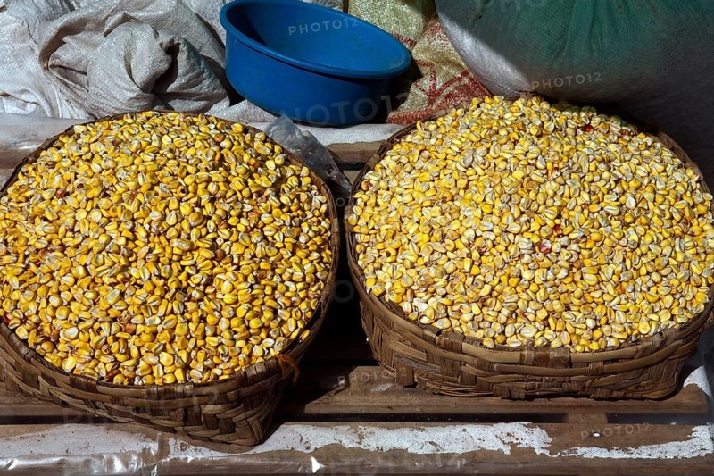 Corn