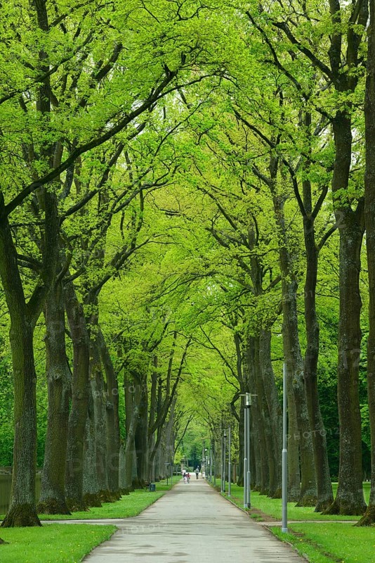 Court Garden