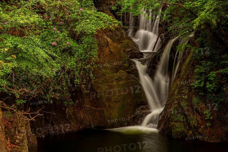 Dyfi Furnace