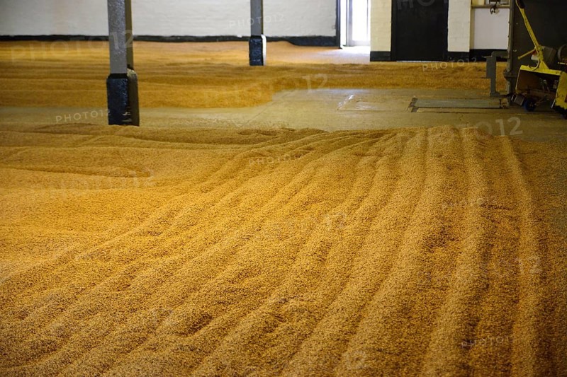 Malting Floors