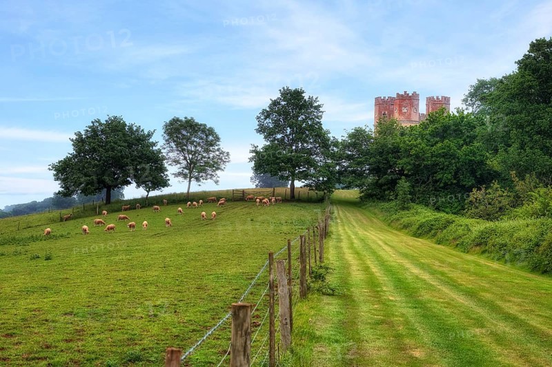 Powderham Castle
