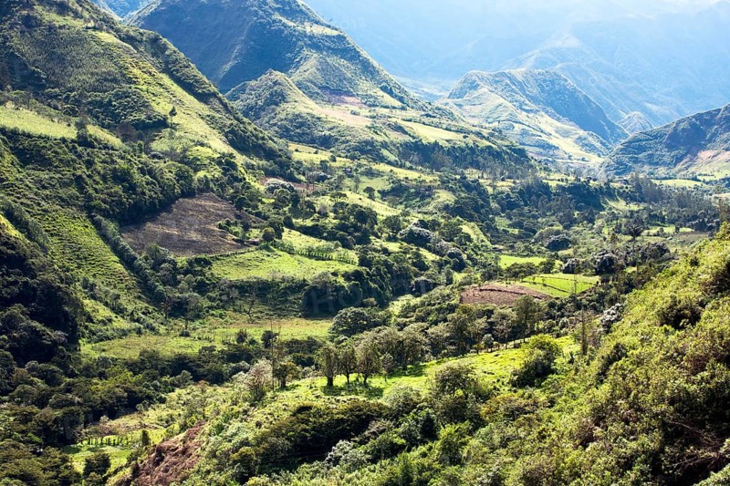 Farmland