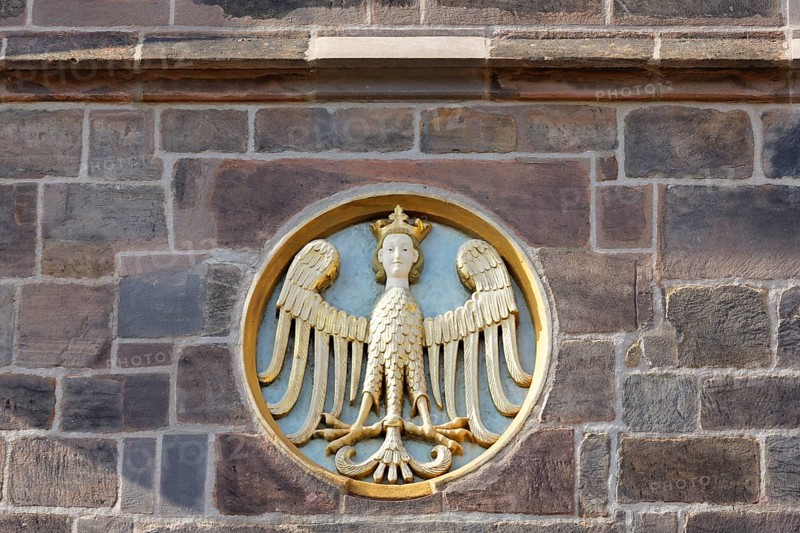 Eagle with golden crowned royal head