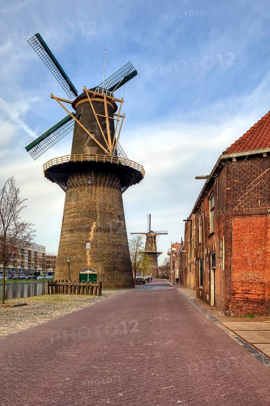 Schiedam