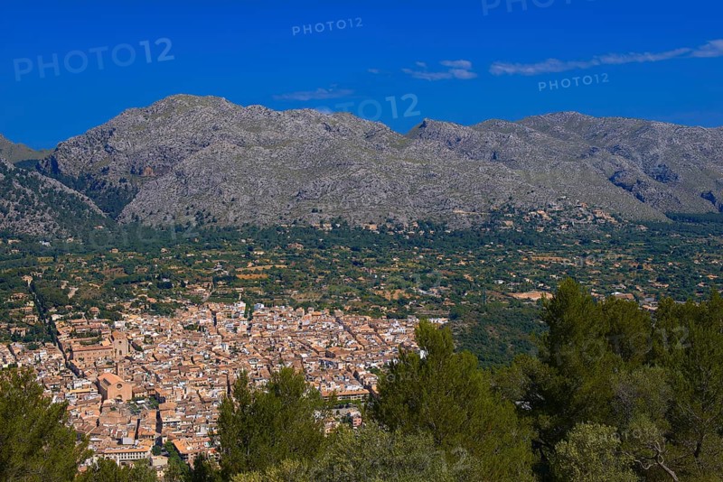 Pollenca