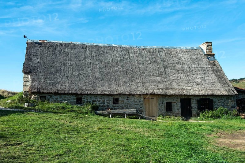 Farm