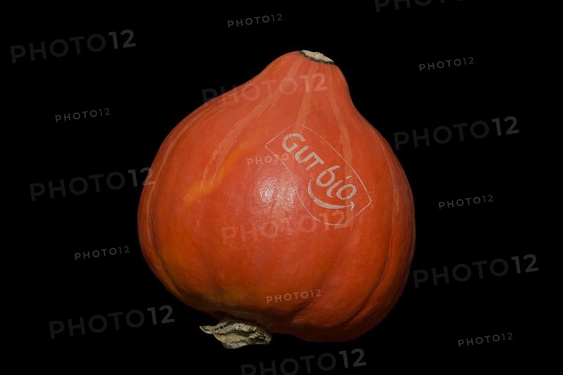 Hokkaido pumpkin