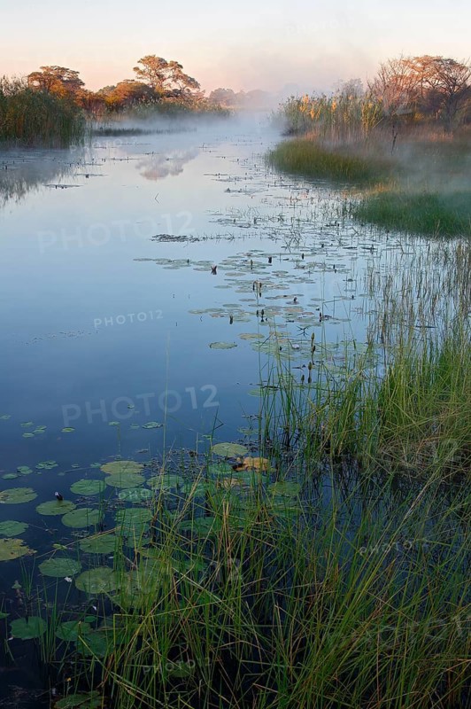Kwando River