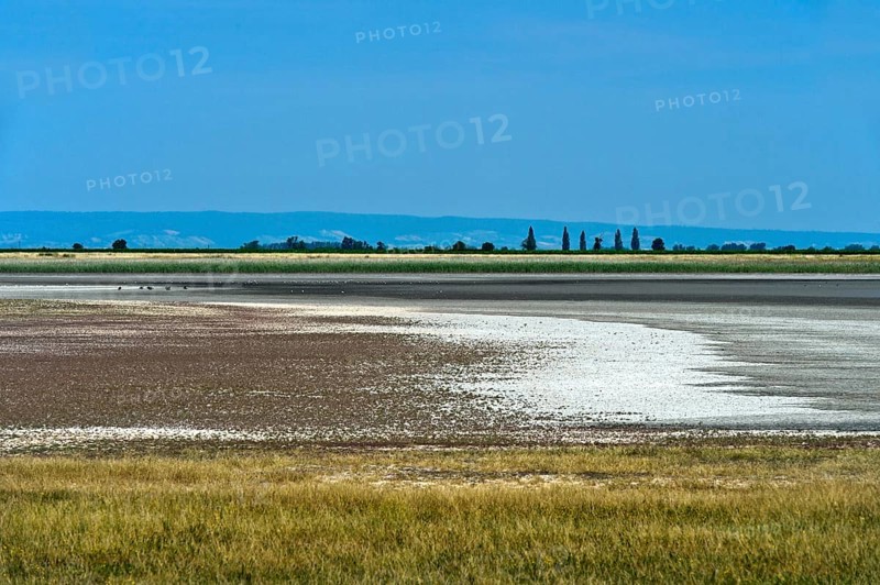 Hut pastures with salt efflorescence in the preservation zone of the Lange Lacke