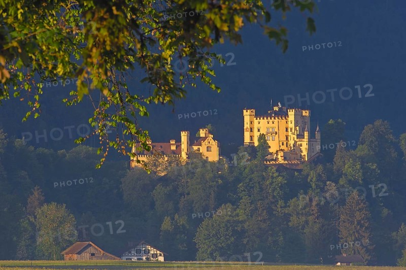 Hohenschwangau Castle