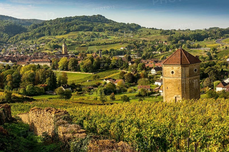 View of the village of Arbois and La Tour du Curon located in the vineyards of Arbois