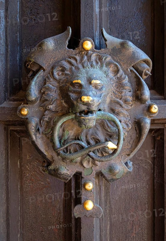 Lion's head