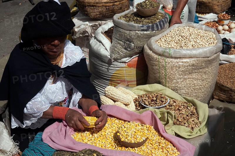 Woman selling Corn