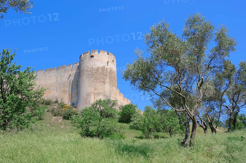 Fort Saint Andre