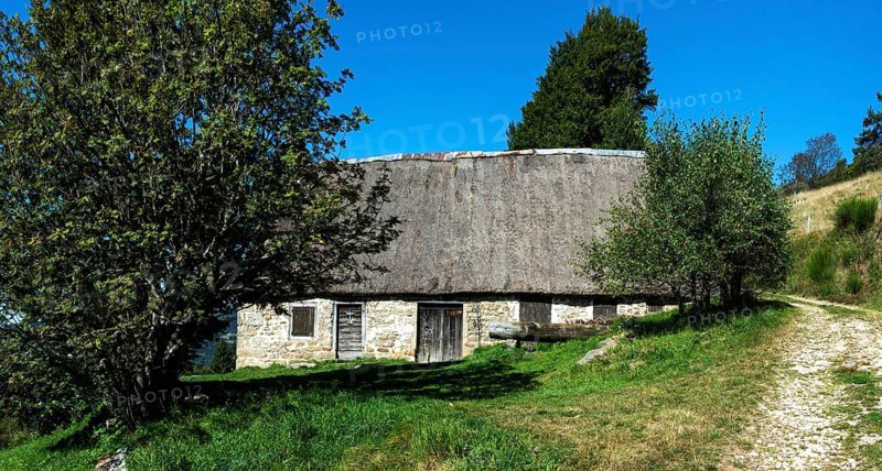 Farm