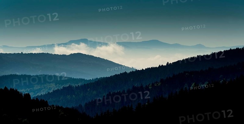 Haut Forez landscape