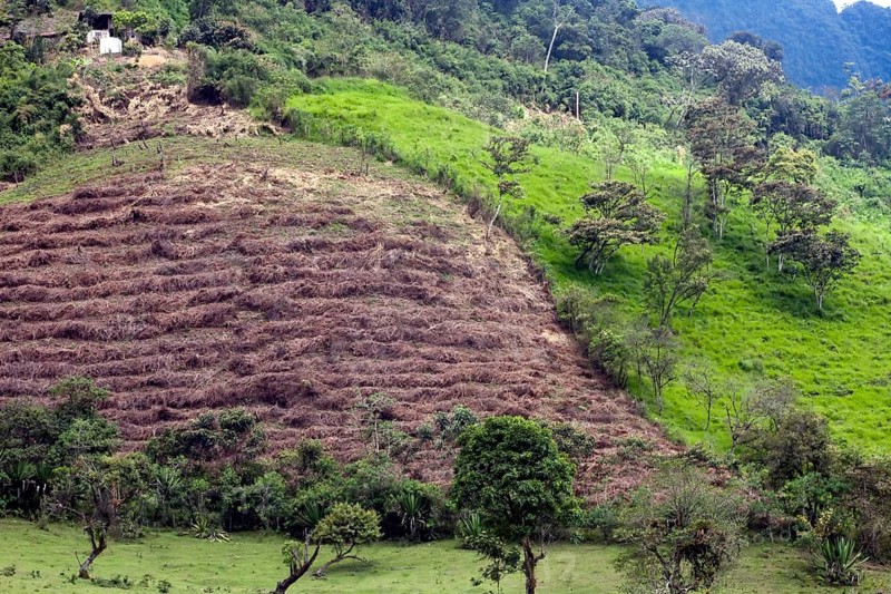 Agricultural land