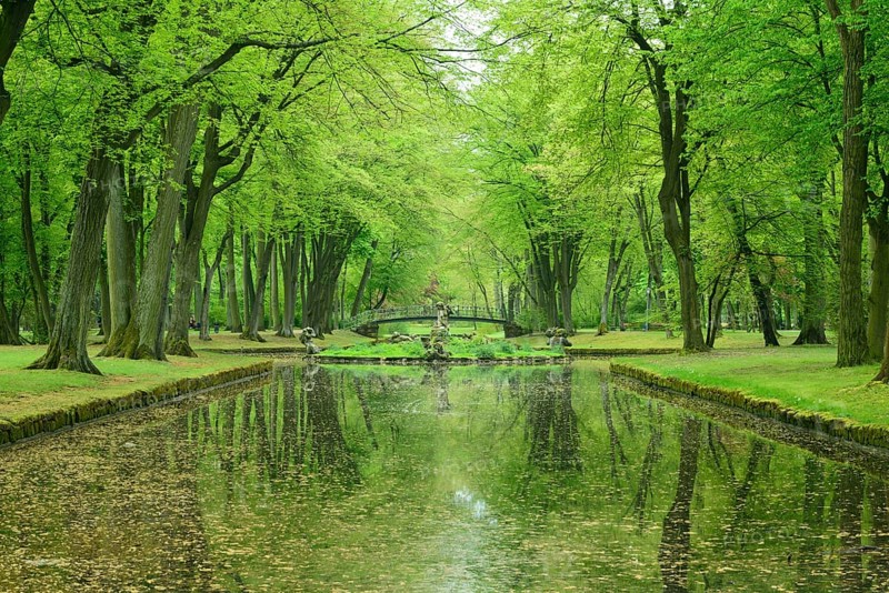 Court Garden