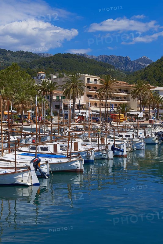 Soller