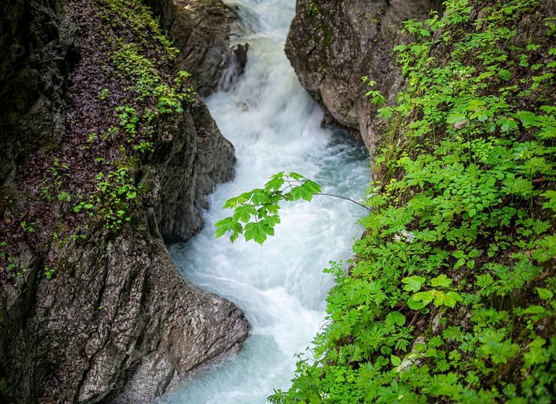 Mountain stream flowing through a narrow gorge