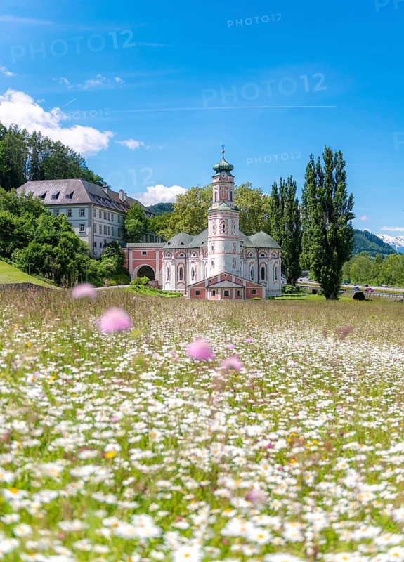 Flower meadow in front of the monastery St. Karl