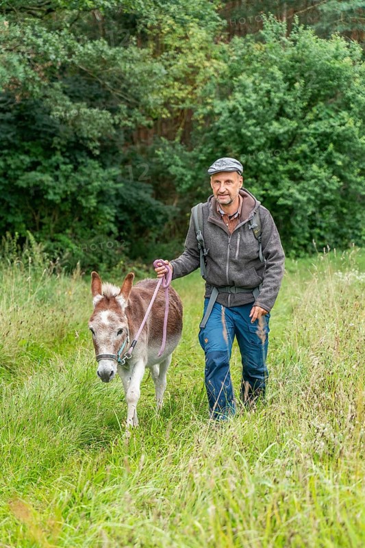 Man walking with a donkey