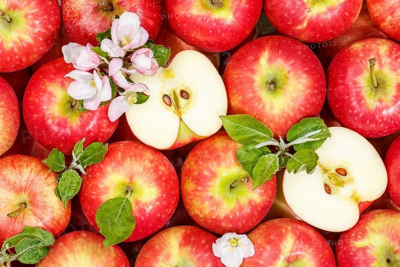 Apples fruits red apple fruit with blossoms and leaves from above