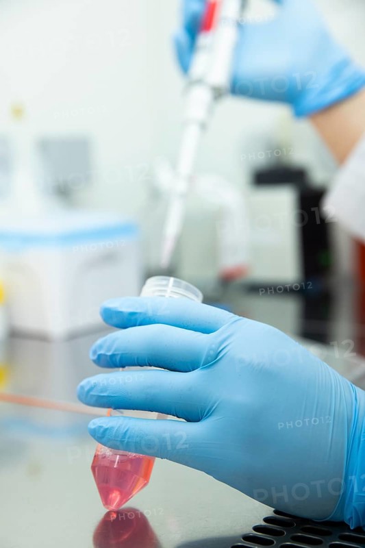 Medical laboratory assistant fills a blood sample into a centrifuge tube with a pipette