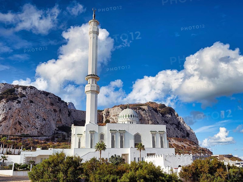 Ibrahim al Ibrahim Mosque also King Fahd bin Abdulaziz al-Saud Mosque and Mosque of the Custodian of the Two Holy Mosques