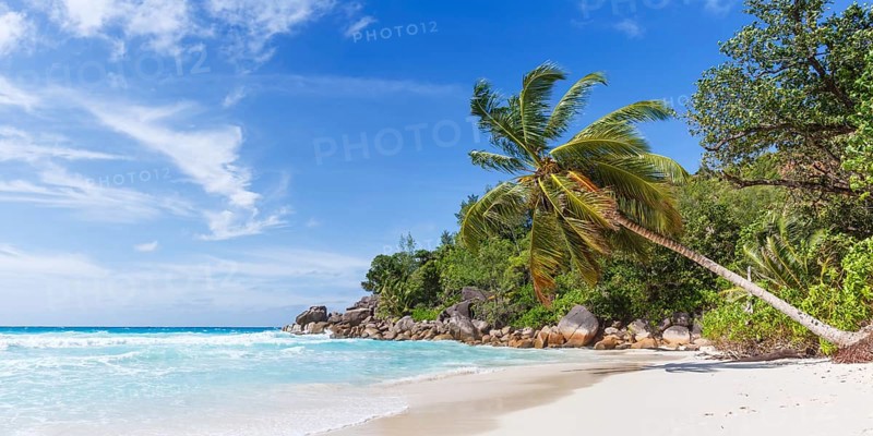 Anse Georgette Beach on Praslin Island with Palm Panorama Sea in the Seychelles