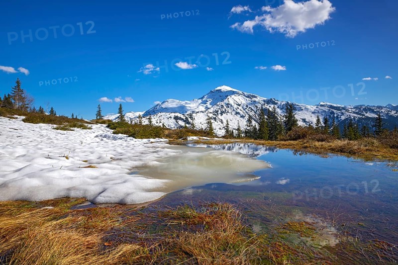 Mountain landscape with meltwater pools and spruce trees