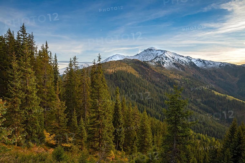 Autumnal mountain landscape with spruces