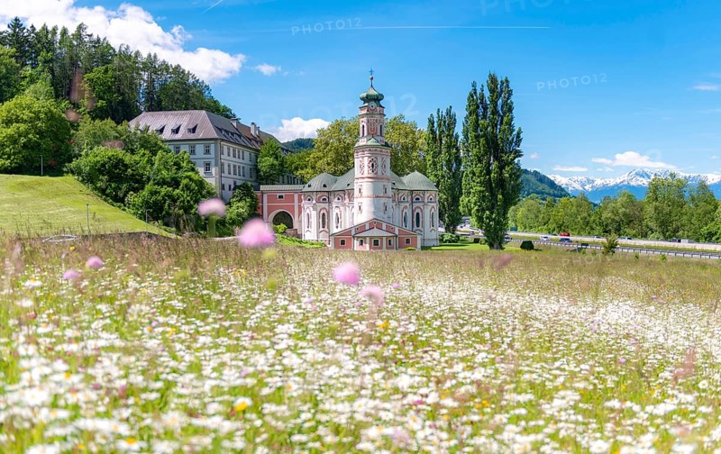Flower meadow in front of the monastery St. Karl