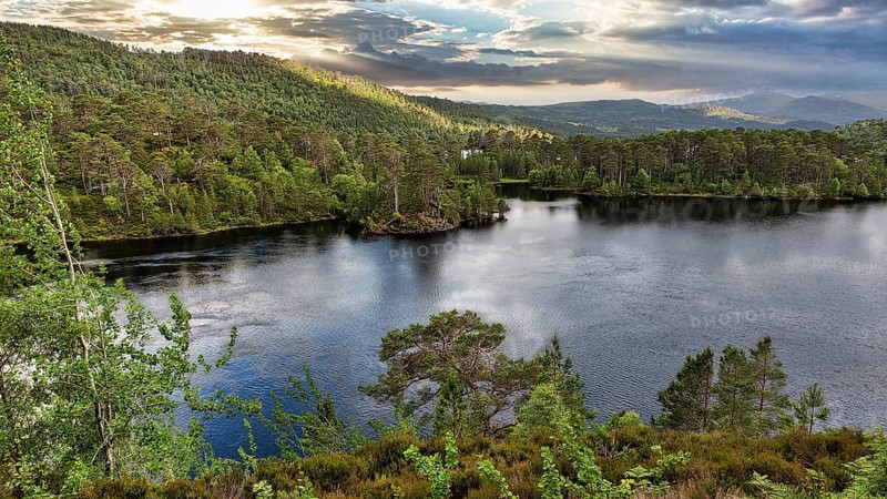 Glen Affric Nature Reserve