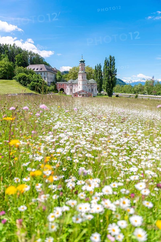 Flower meadow in front of the monastery St. Karl