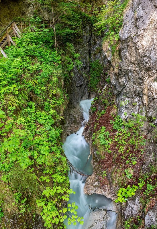 Mountain stream flowing through a narrow gorge