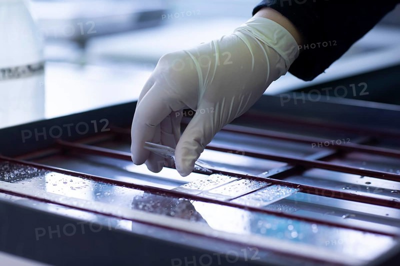 Sample processing with laboratory equipment in a histology laboratory