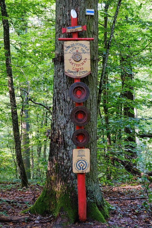 Tree trunk with sign
