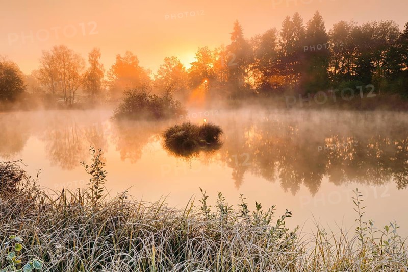 Autumnal morning mood at a pond in the nature reserve Wildert in Illnau