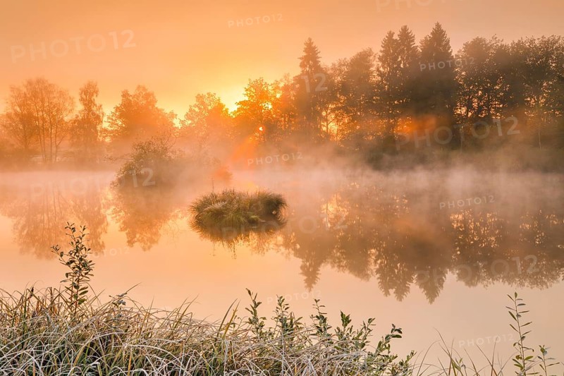 Autumnal morning mood at a pond in the nature reserve Wildert in Illnau