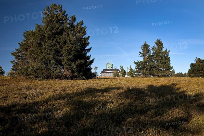 Landscape with Astenturm on the Kahler Asten