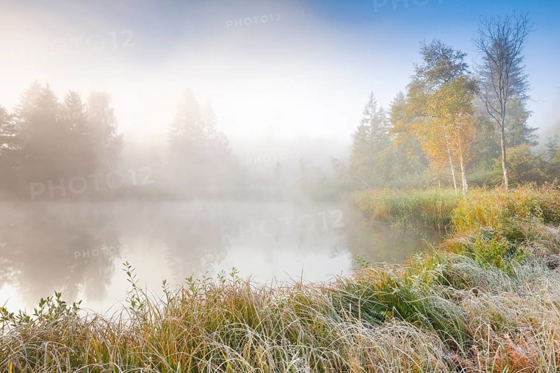 Autumn atmosphere at a tree-lined pond