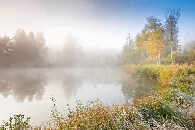 Autumn atmosphere at a tree-lined pond