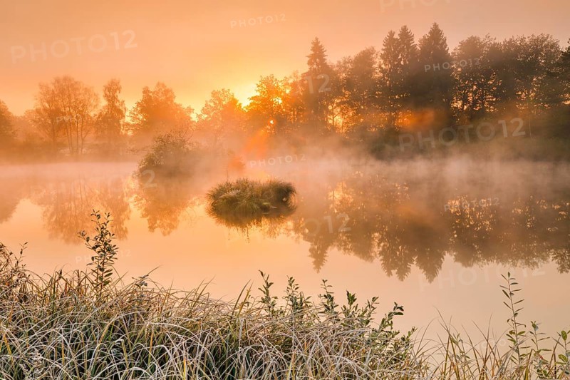 Autumnal morning mood at a pond in the nature reserve Wildert in Illnau