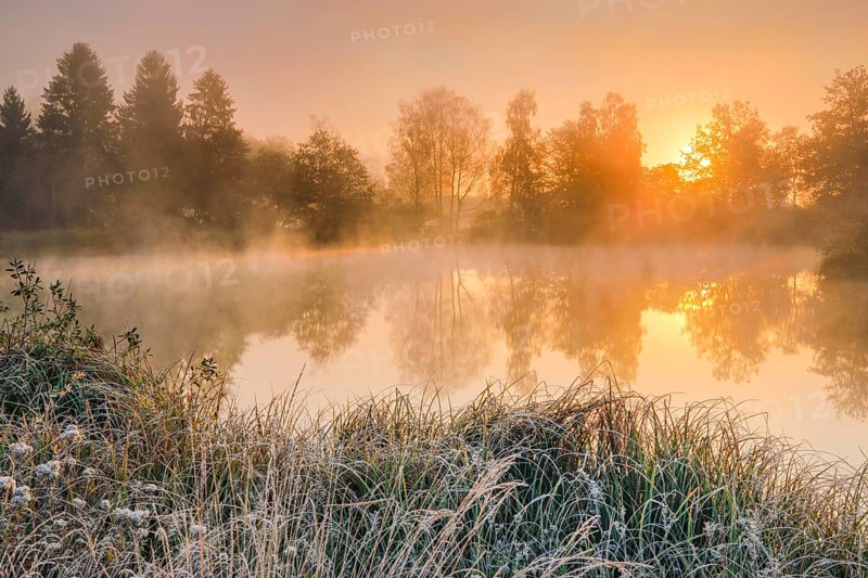 Autumnal morning mood at a pond in the nature reserve Wildert in Illnau