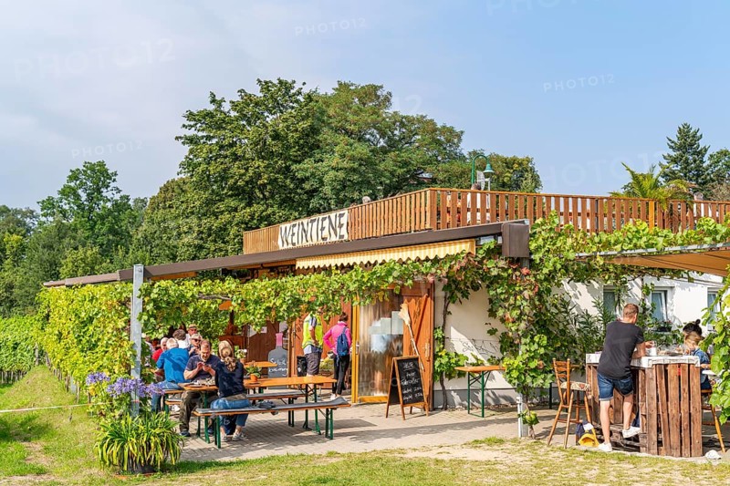 Restaurant Weintiene