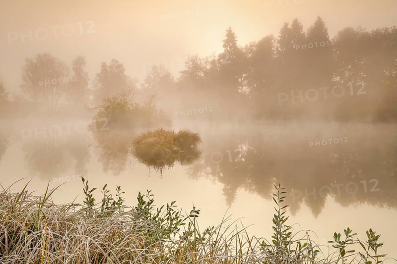 Autumnal morning mood at a pond in the nature reserve Wildert in Illnau