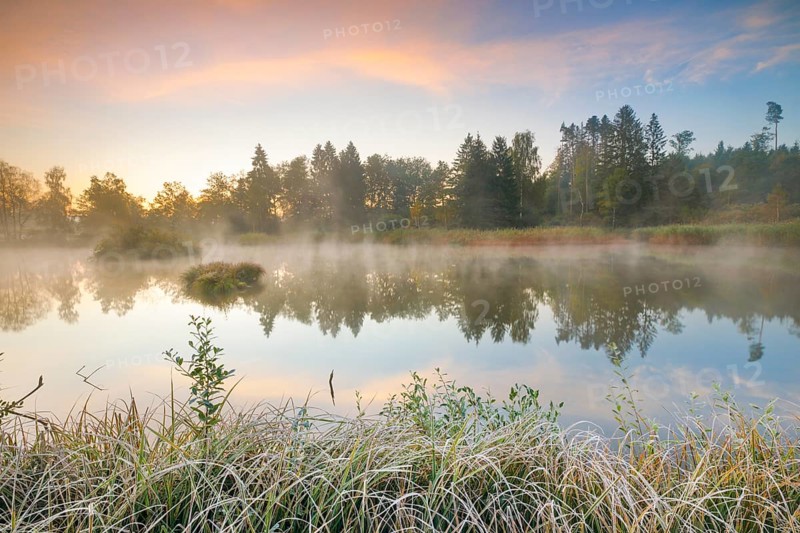 Autumnal morning mood at a pond in the nature reserve Wildert in Illnau